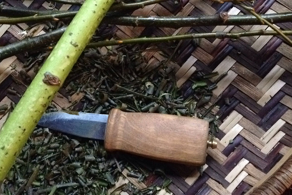Thumbnail: Knife in a basket of Devil's Club inner bark with Devil's Club stick