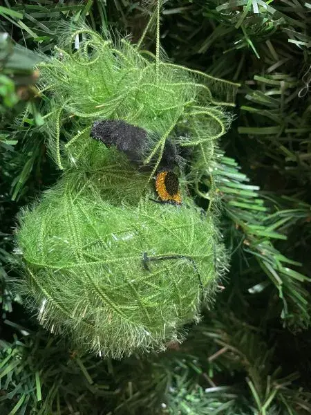 Green n' Hairy  side