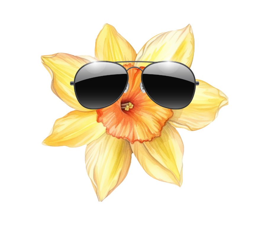 Writer: Gloucester Daffodil Festival