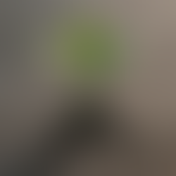 What Starting Over Taught Me About Mindset (and Why I Created the WholeLYFE Blueprint)