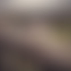 Crisp Morning Breakfasts