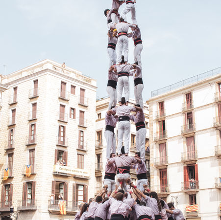 Dinamizando las Bases de la Organización para la Emergencia de la Innovación