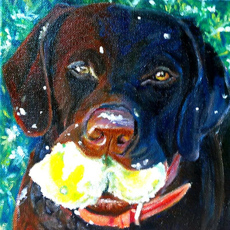 Jane's Commissioned Pet Portraits