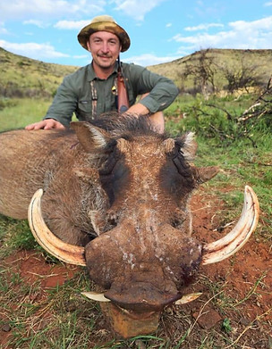 Warthog