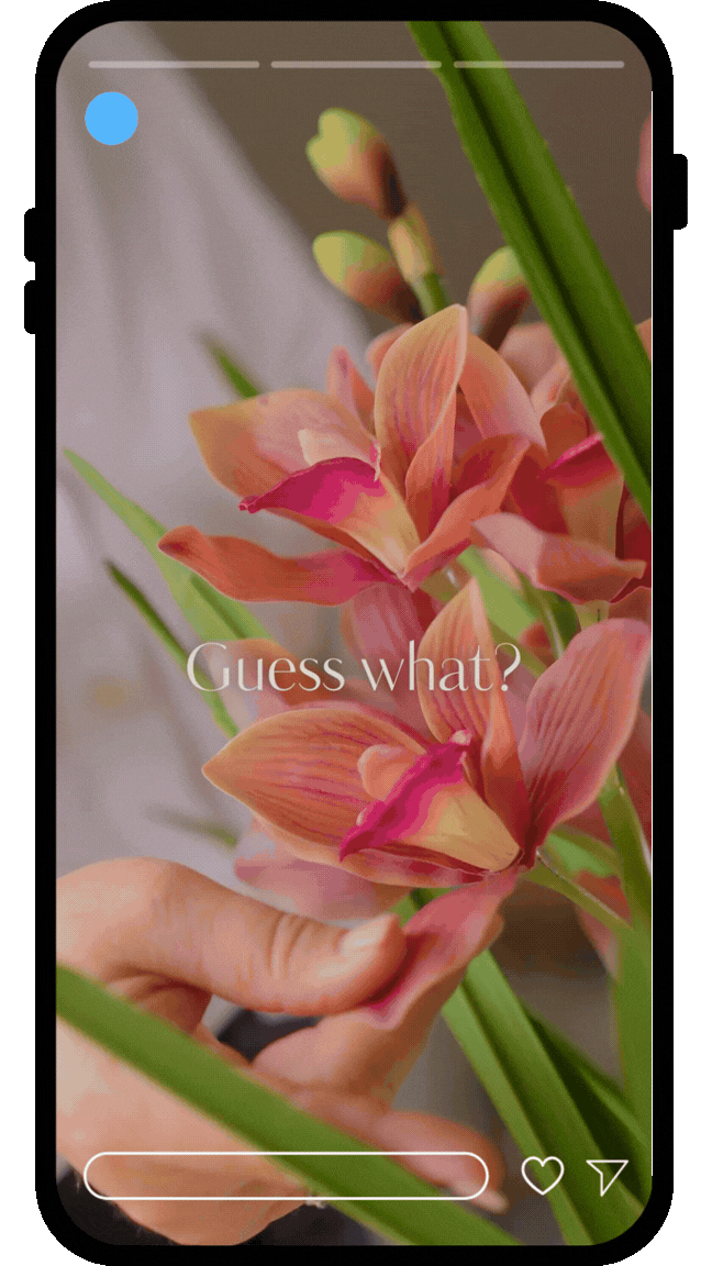 Untitled design-3.gif