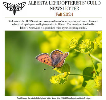 ALG News Fall 24 Cover Photo