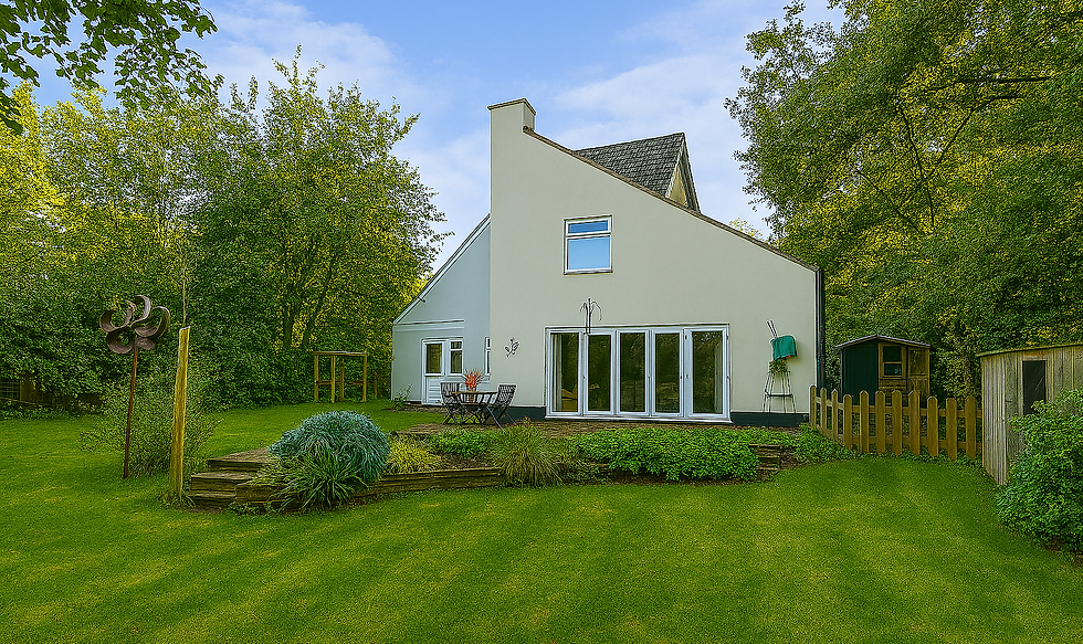 Redwood - Website Image.png