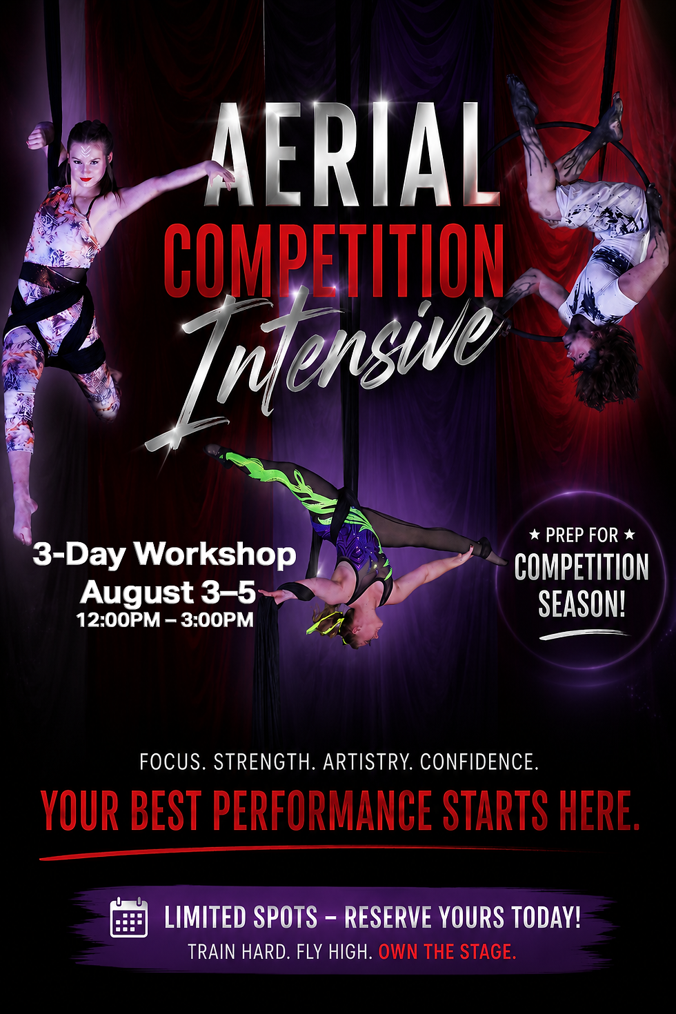Aerial Competition Prep Intensive - 3 Day Workshop