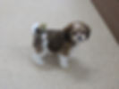 CAVACHON