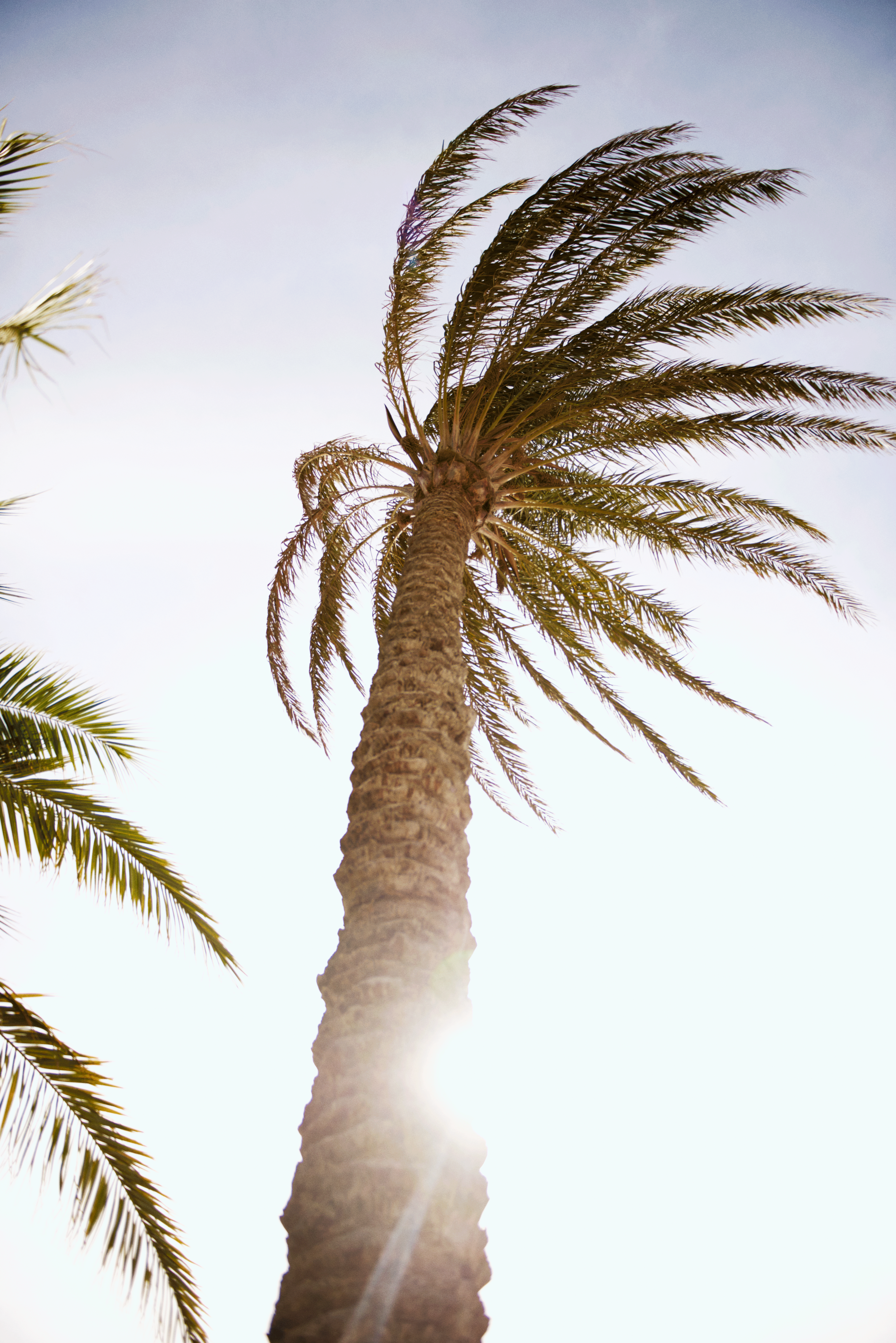 Skin_Hair_Soleil_Shooting_17_Location_03