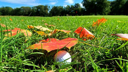 Fall Golf: 5 Things Every Golfer Should Know