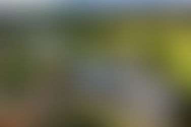 Discover Muskoka Luxury at the Villas of The Lake Joseph Club