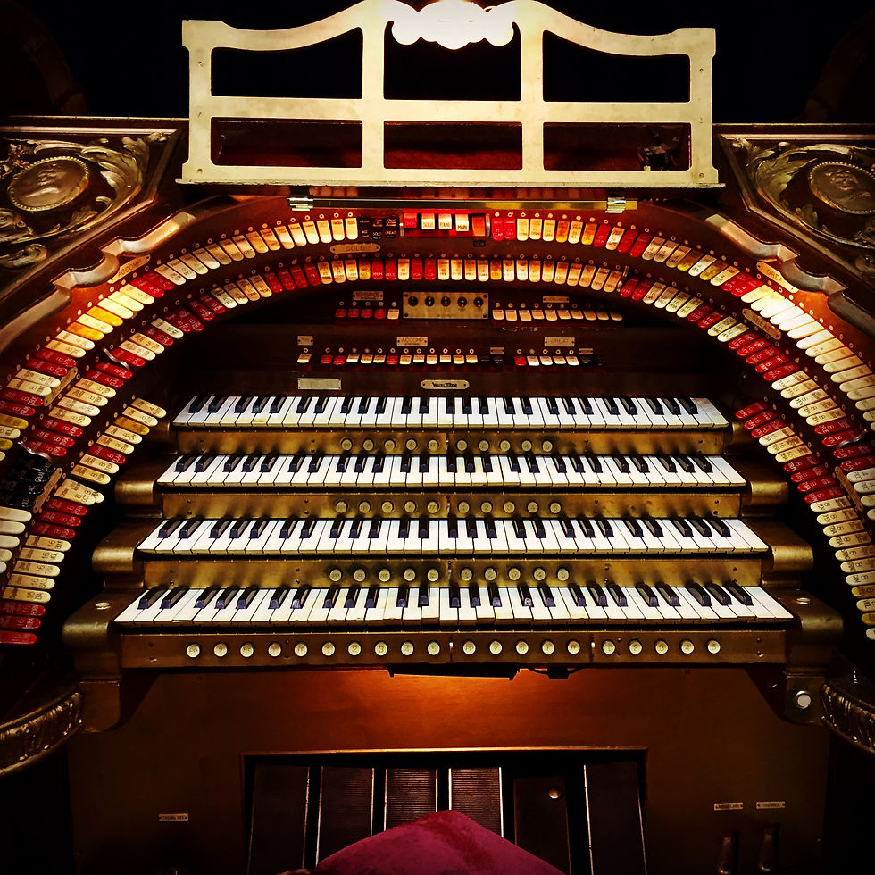 Brooklyn Paramount (LIU)