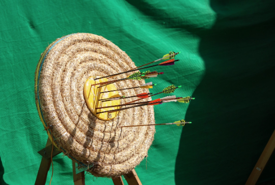 Tir à l'arc instinctif cibles 3D