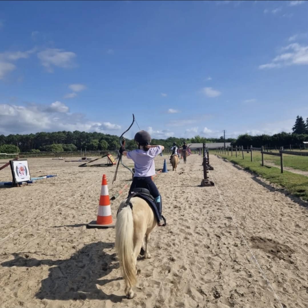 Battle Archery Troll Game