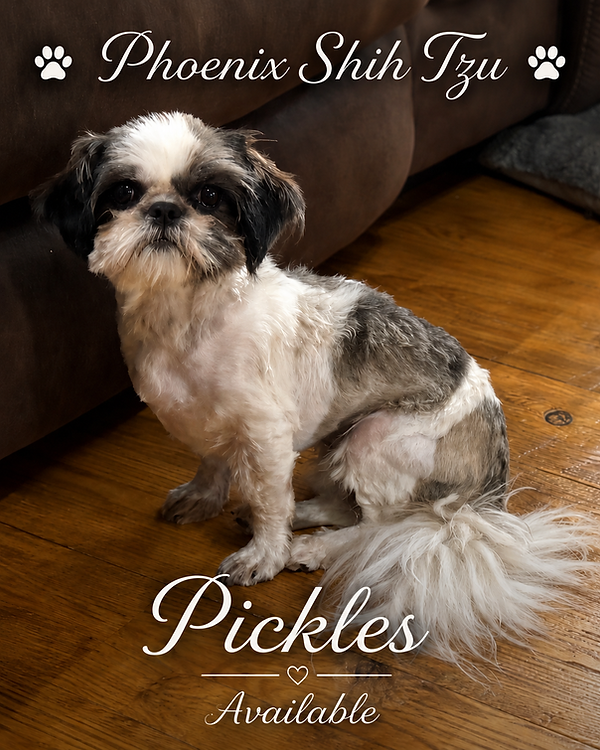 Pickles avaialble pic.png