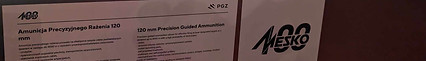 PXL_20240905_120330746.MP.jpg