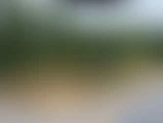 Nice view from up top of the new barn!