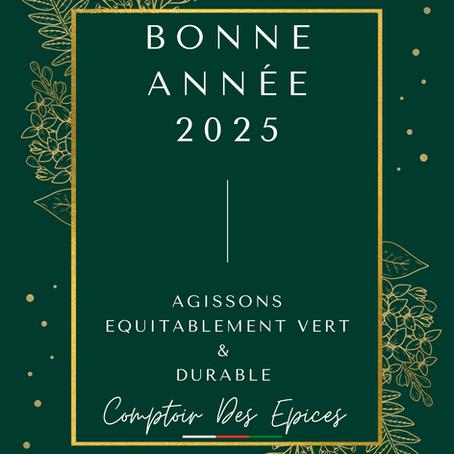 ✨ Bonne Année 2025 ! ✨