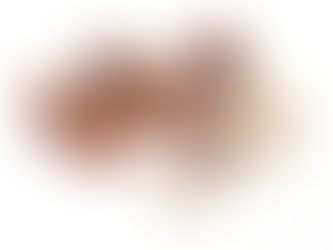 "Plaisirs Gourmands : Des Délices à Base de Beurre de Cacao qui Fondent en Bouche 🍫✨"**