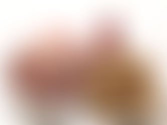 🌟 Recette de Bûche de Noël à la Vanille Bourbon de Madagascar 🌟