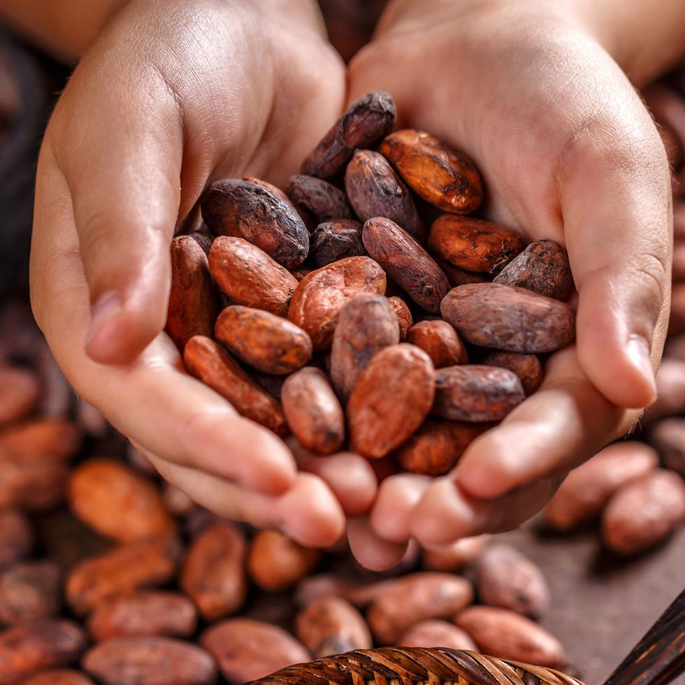 Fèves de Cacao de Madagascar