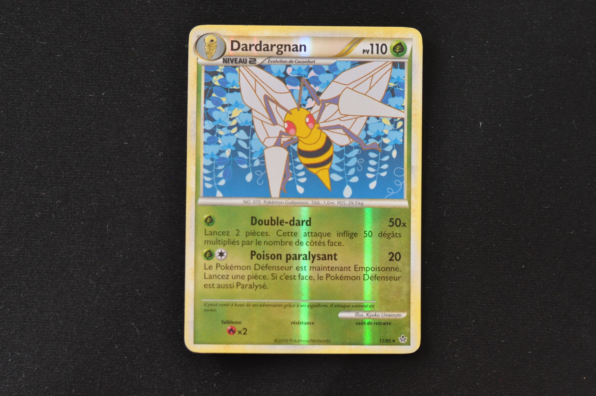 DARDARGNAN-12/95-HGSS-DÉCHAÎNEMENT-POKEMON FR 2010