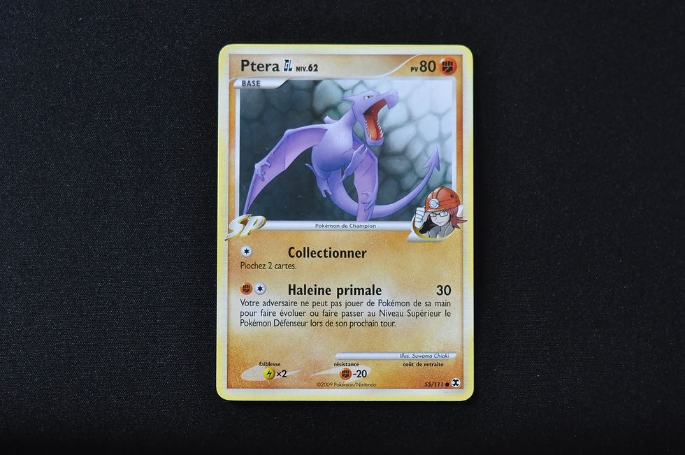 Miniature : PTÉRA GL-55/111-PLATINE-RIVAUX EMERGEANTS-POKEMON FR 2009