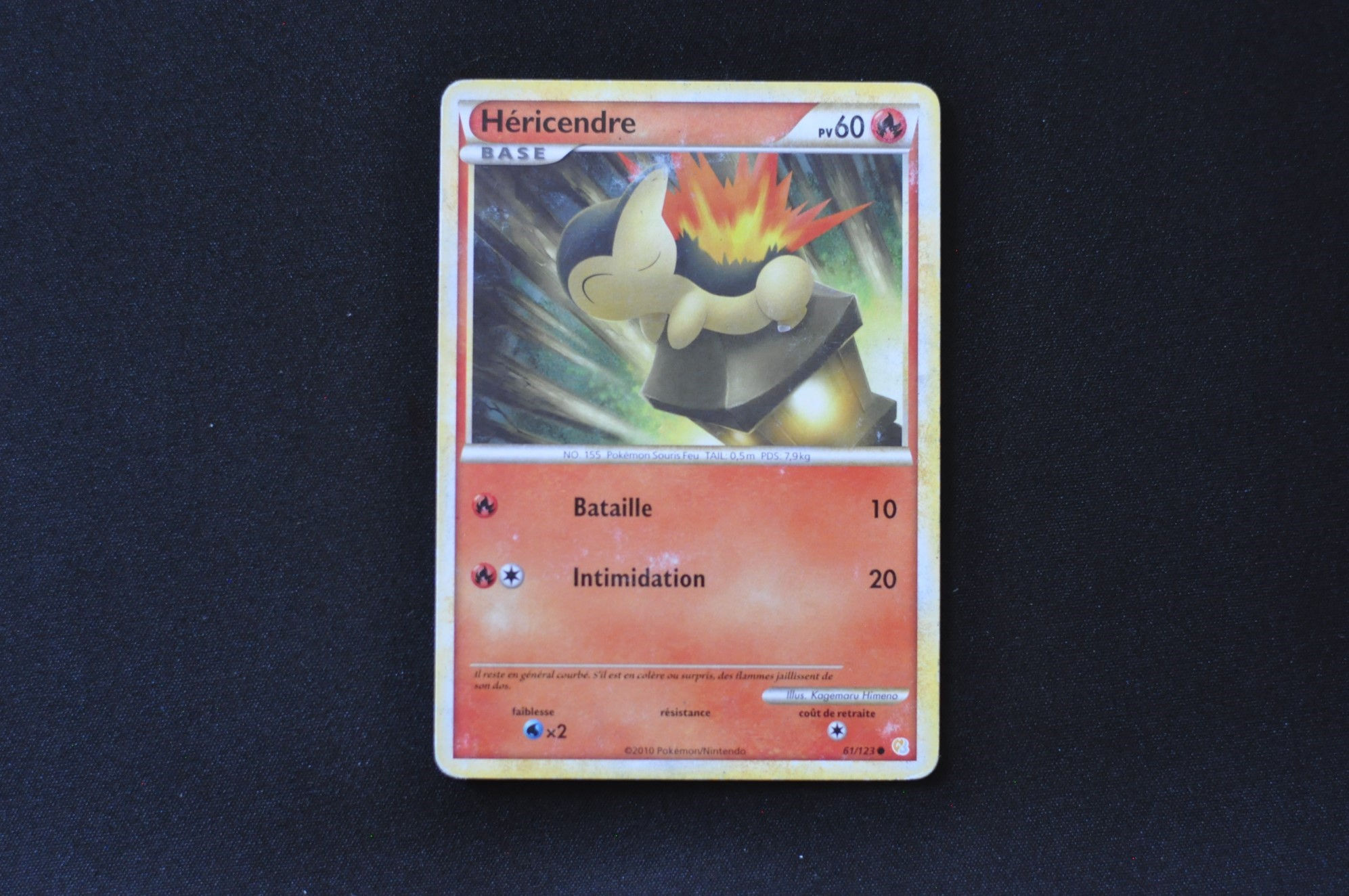 HÉRICENDRE-61/123-HGSS-HGSS-POKEMON FR 2010