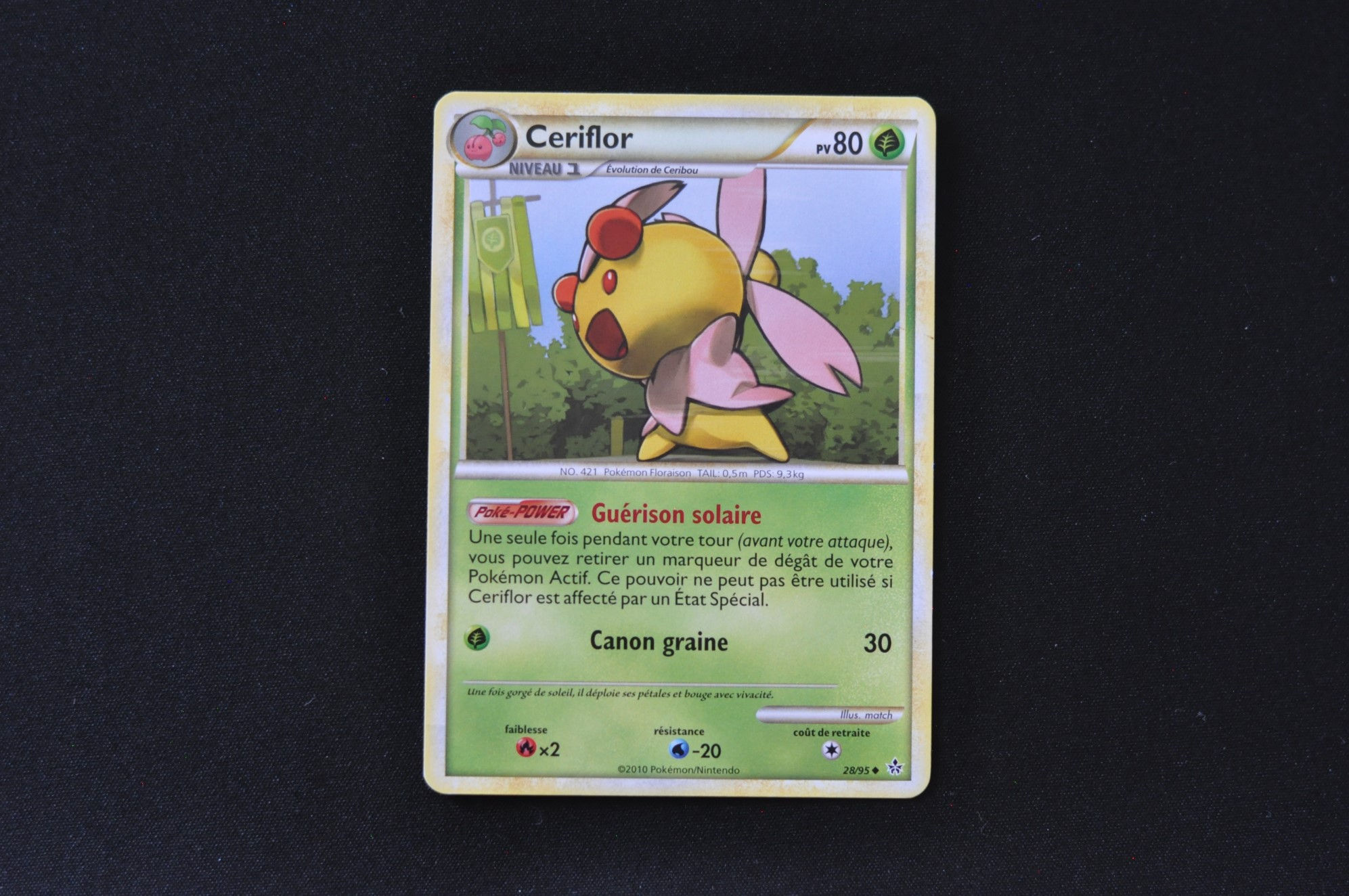 CERIFLOR-28/95-HGSS-DÉCHAÎNEMENT-POKEMON FR 2010