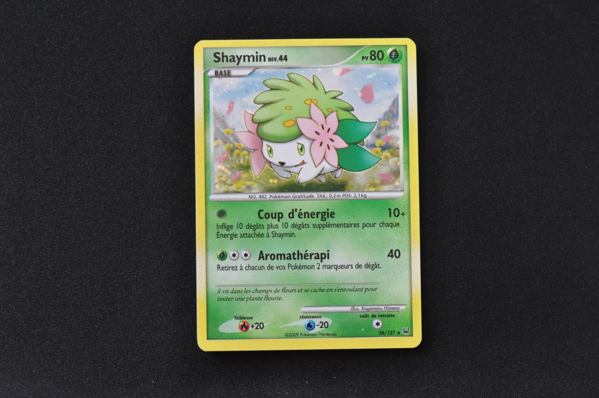 SHAYMIN-14/127-HOLO-PLATINE-PLATINE-POKEMON FR 2009