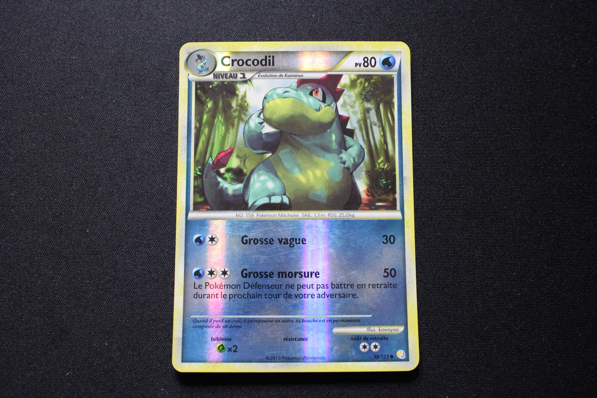 CROCRODIL-38/123-REVERSE-HGSS-HGSS-POKEMON FR 2010
