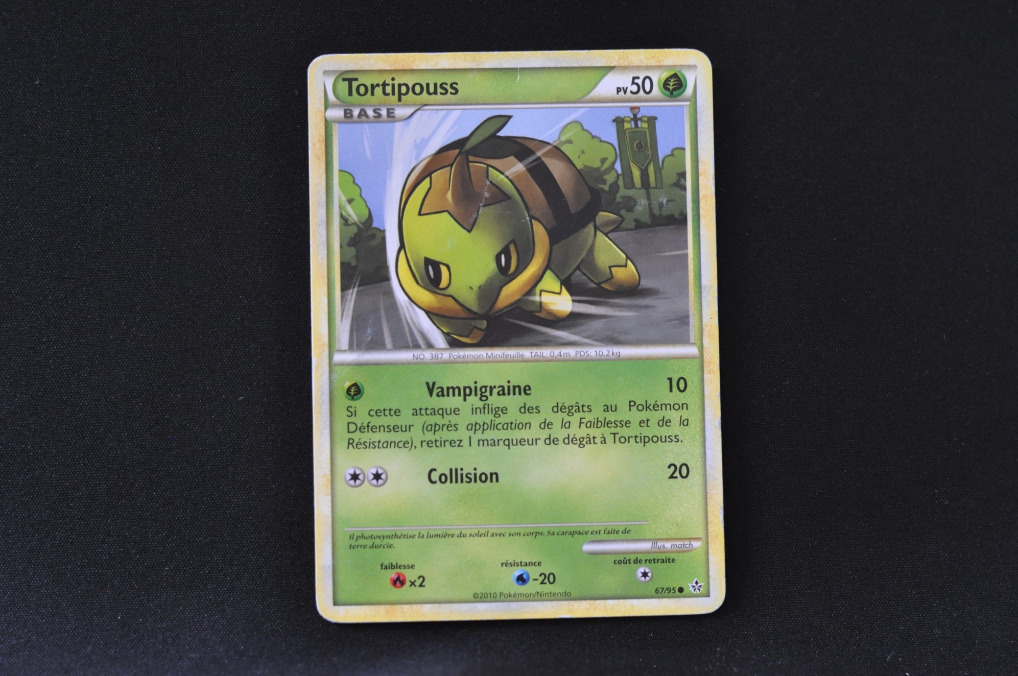 TORTIPOUSS-67/95-HGSS-DÉCHAÎNEMENT-POKEMON FR 2010