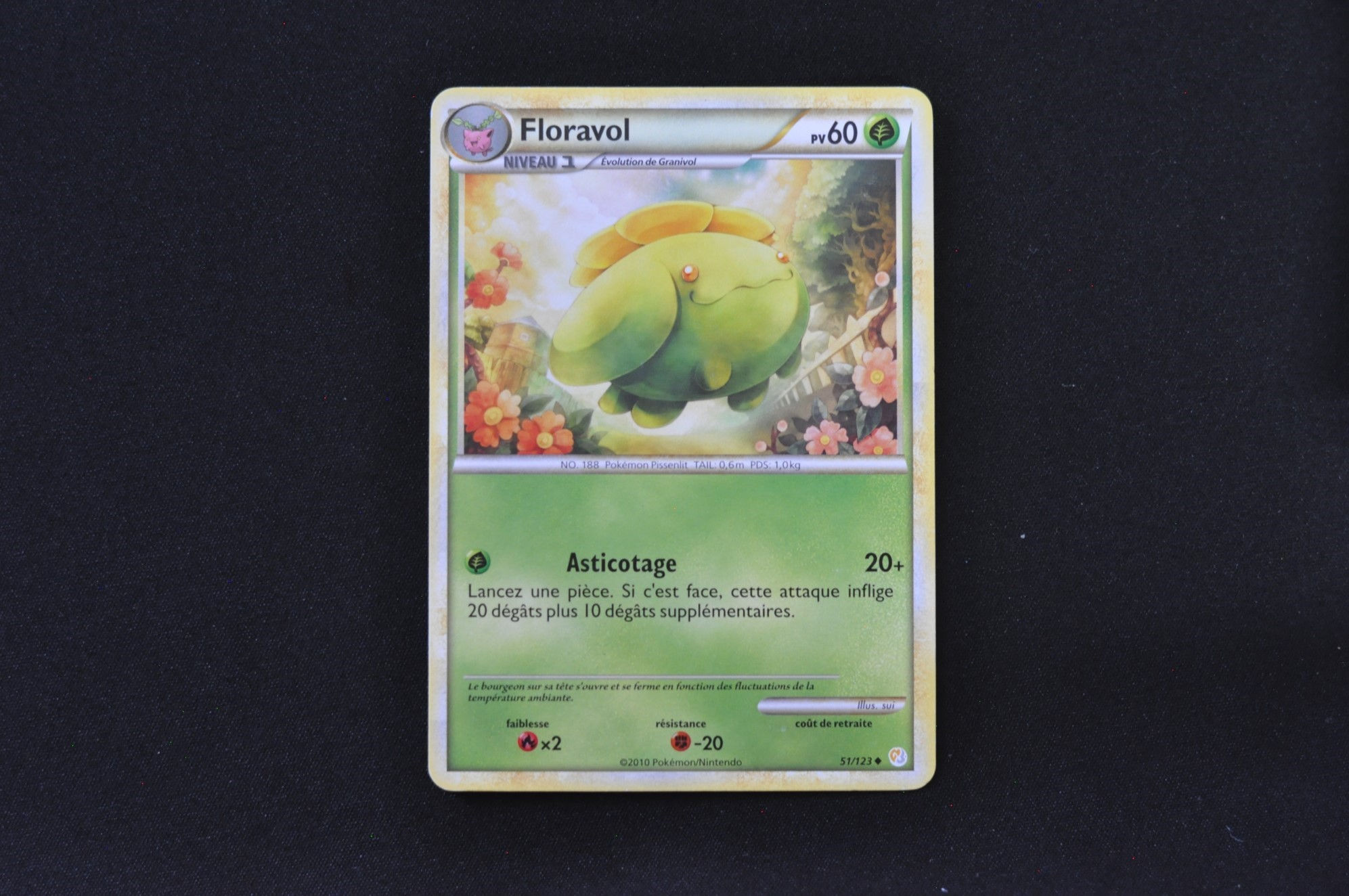 FLORAVOL-51/123-HGSS-HGSS-POKEMON FR 2010