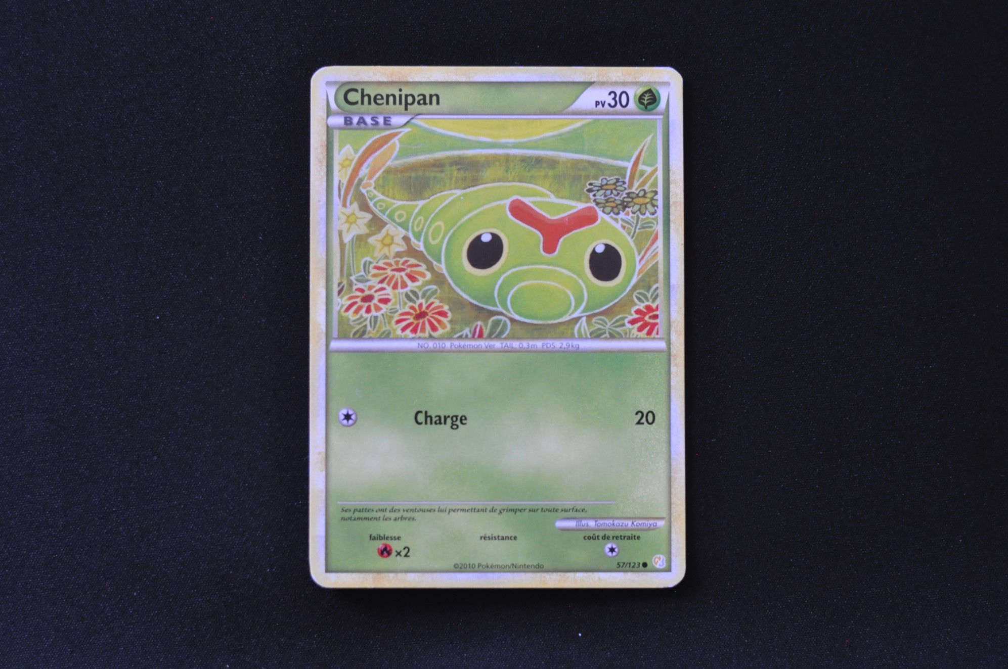 CHENIPAN-57/123-HGSS-HGSS-POKEMON FR 2010