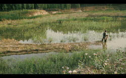 "Lost Waterside"