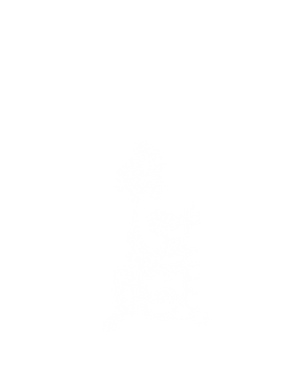 elementos identidade visual-17.png