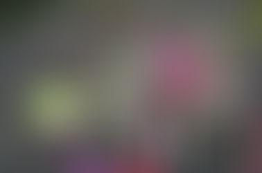 An Offering of Prayer