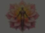 flower of life_edited.jpg