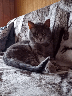 20221219_131206web.gif