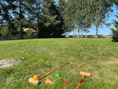 IMG_4102web.gif