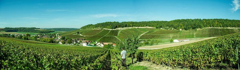 Photographie panorama pour Maison cChampagne Emmanuel RIGOLLOT