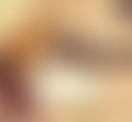 Πως να μάθω το Σκύλο μου να μην τρώει πράγματα;