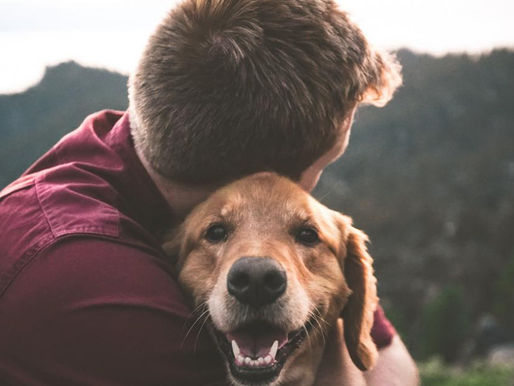 ‘Ένα περίεργο γεγονός της ζωής