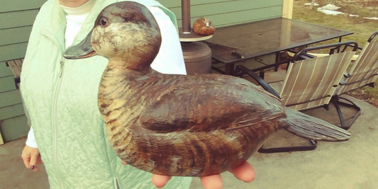 Duck