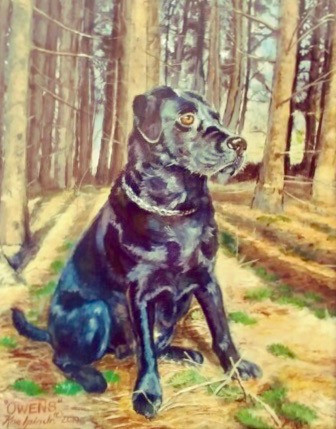 Hunting Dog