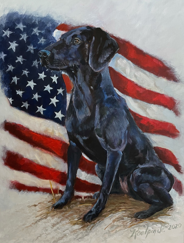 USA Black Lab
