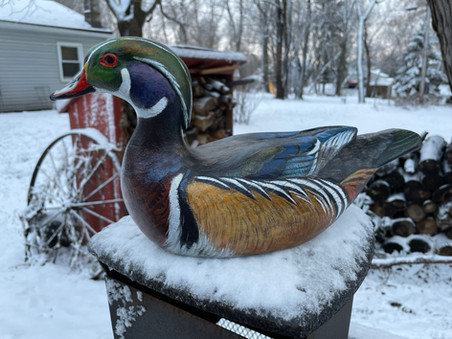Snow Duck