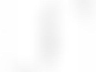 日本政府は台湾の法的地位に発言権なし―外務省部内資料が明言