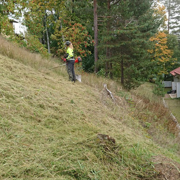 Mitä ottaa huomioon huollon kilpailutuksessa?